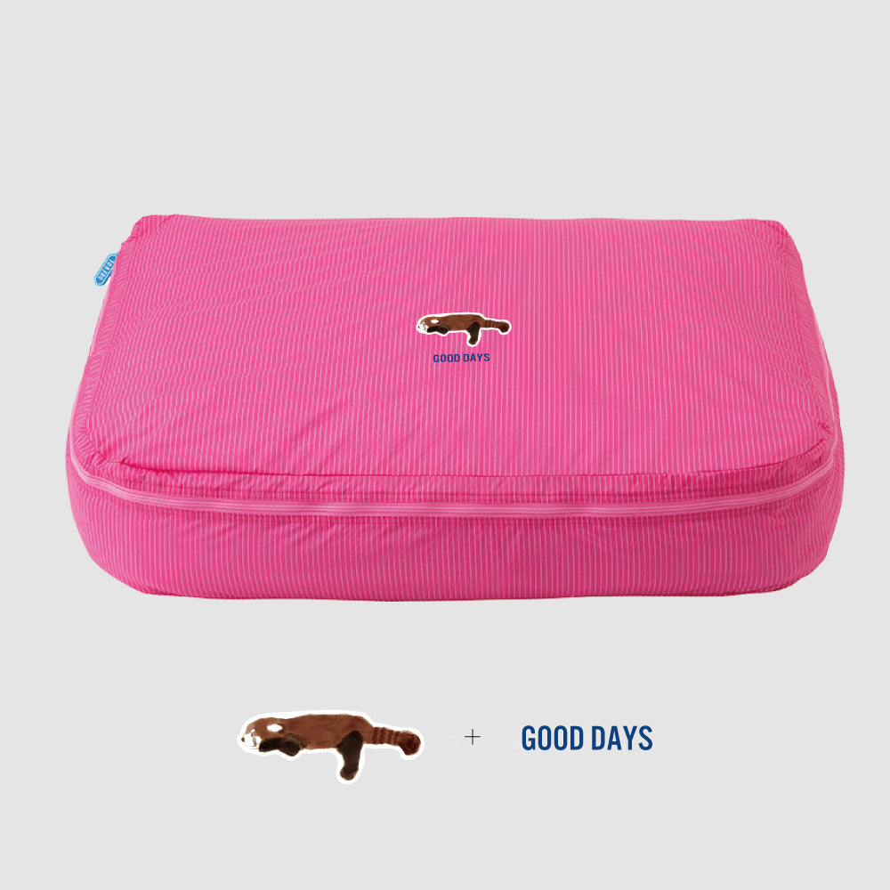 テキストとイラストの組み合わせも◎